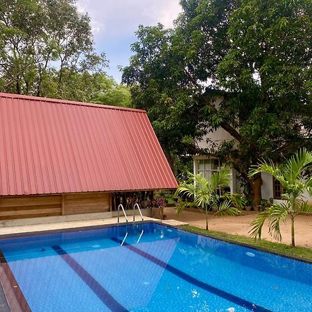 Habarana New Star Homestay Exteriör bild