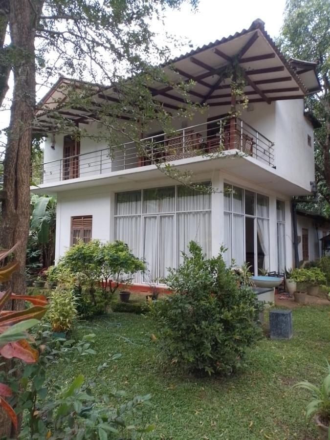 Habarana New Star Homestay Exteriör bild