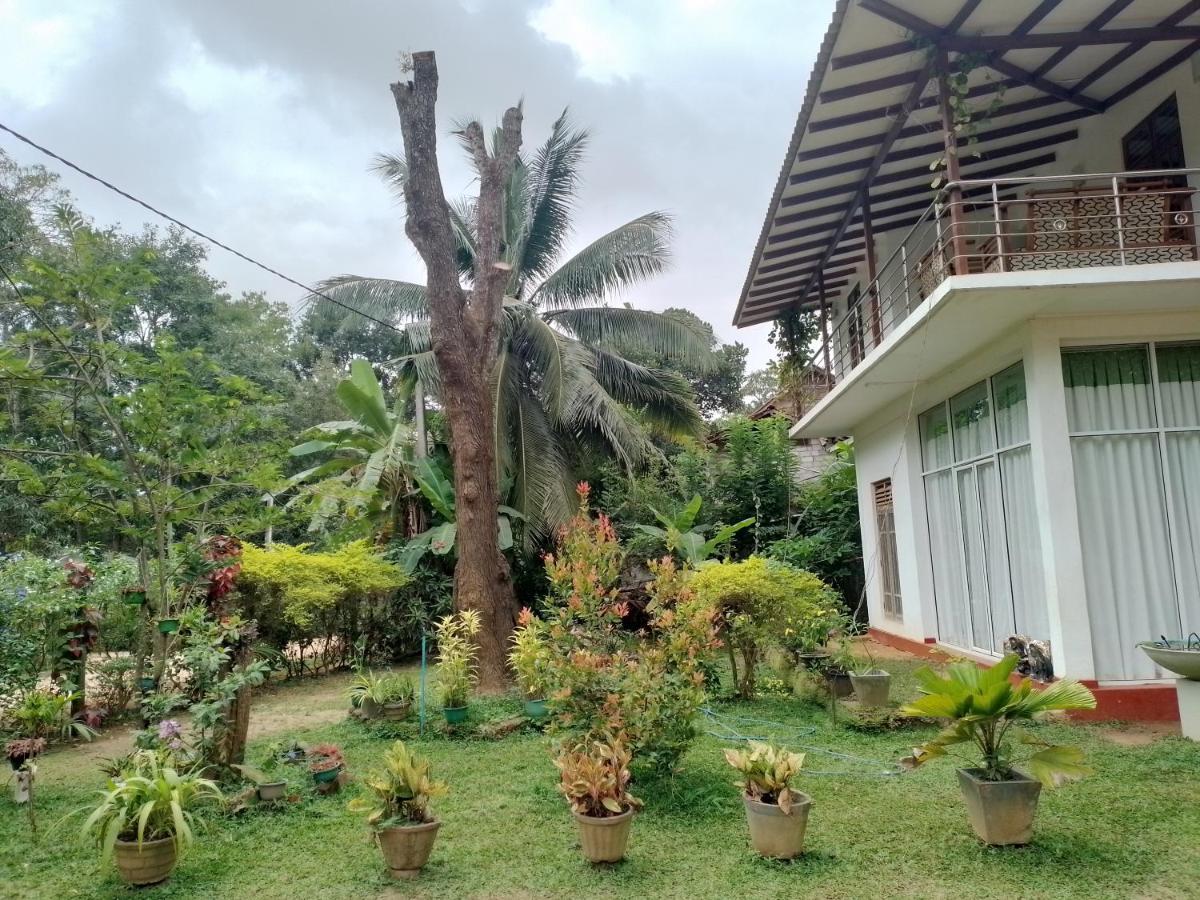 Habarana New Star Homestay Exteriör bild