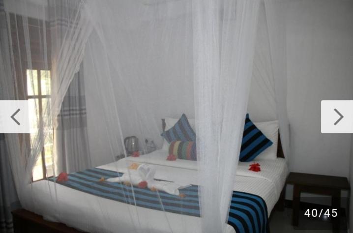 Habarana New Star Homestay Exteriör bild