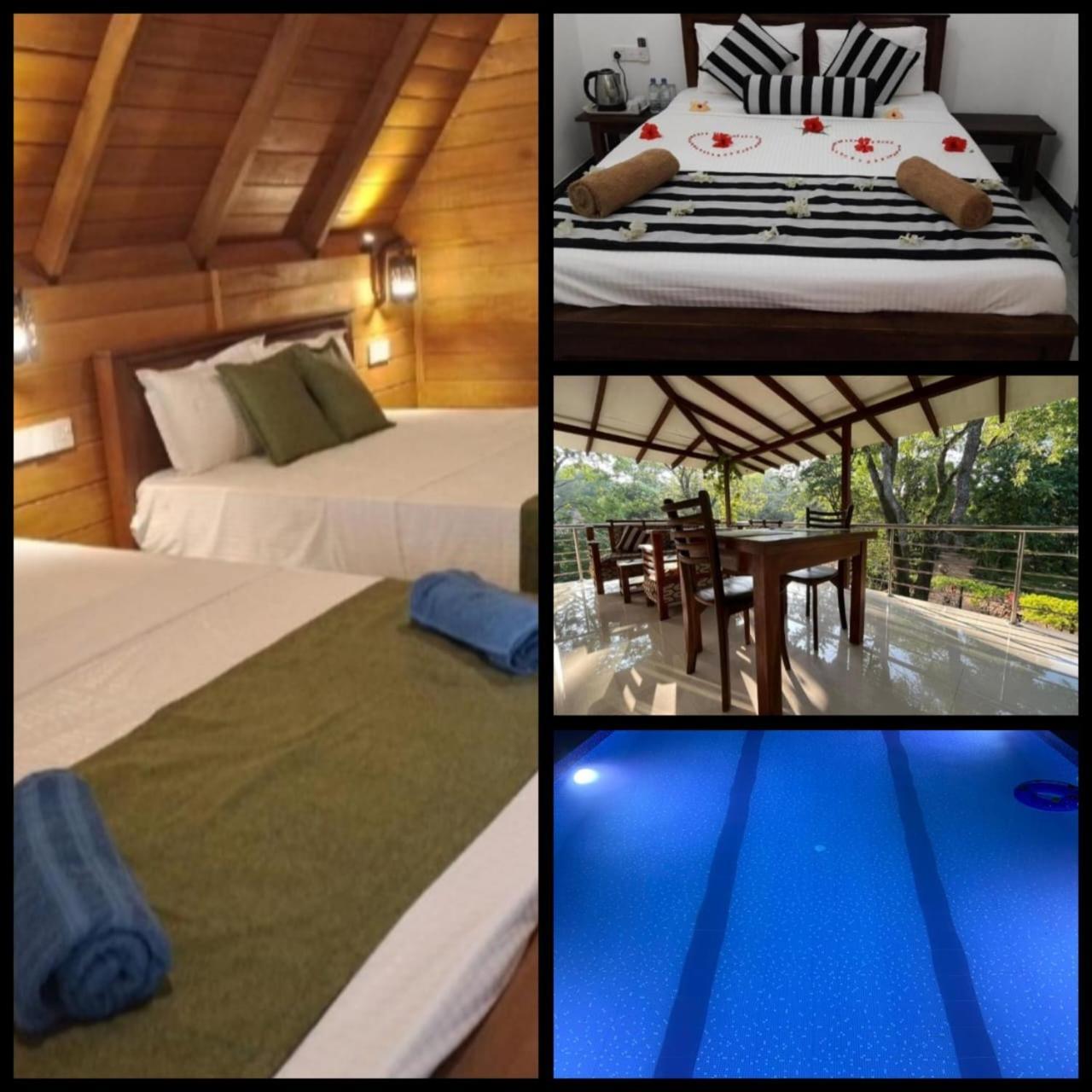 Habarana New Star Homestay Exteriör bild