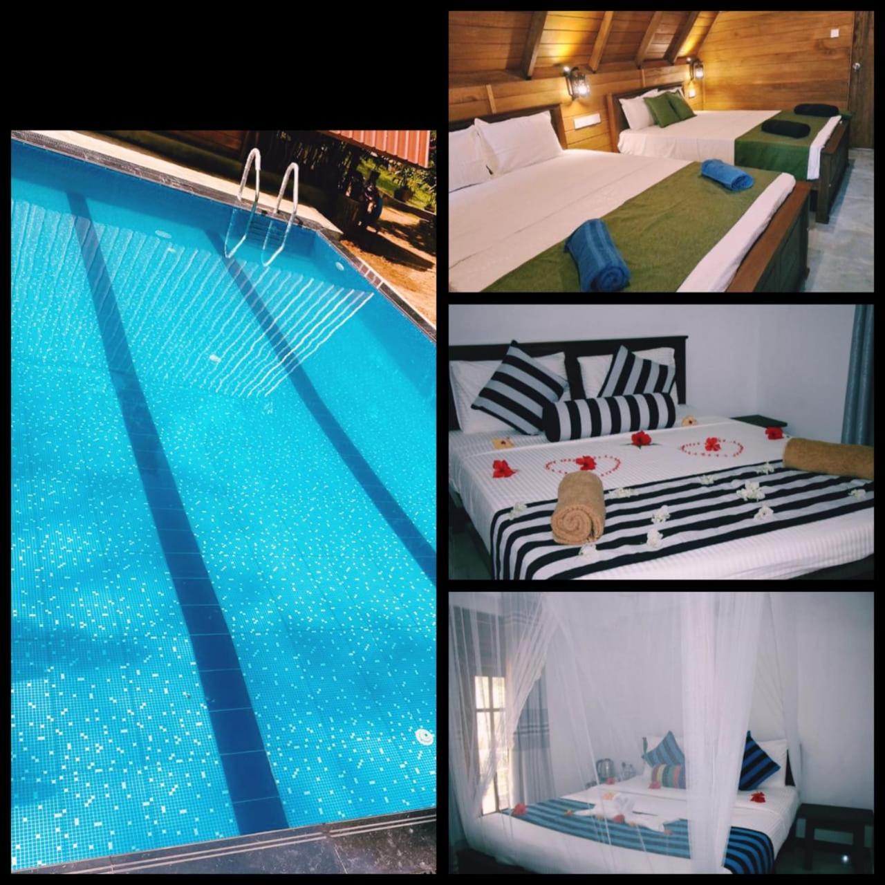 Habarana New Star Homestay Exteriör bild