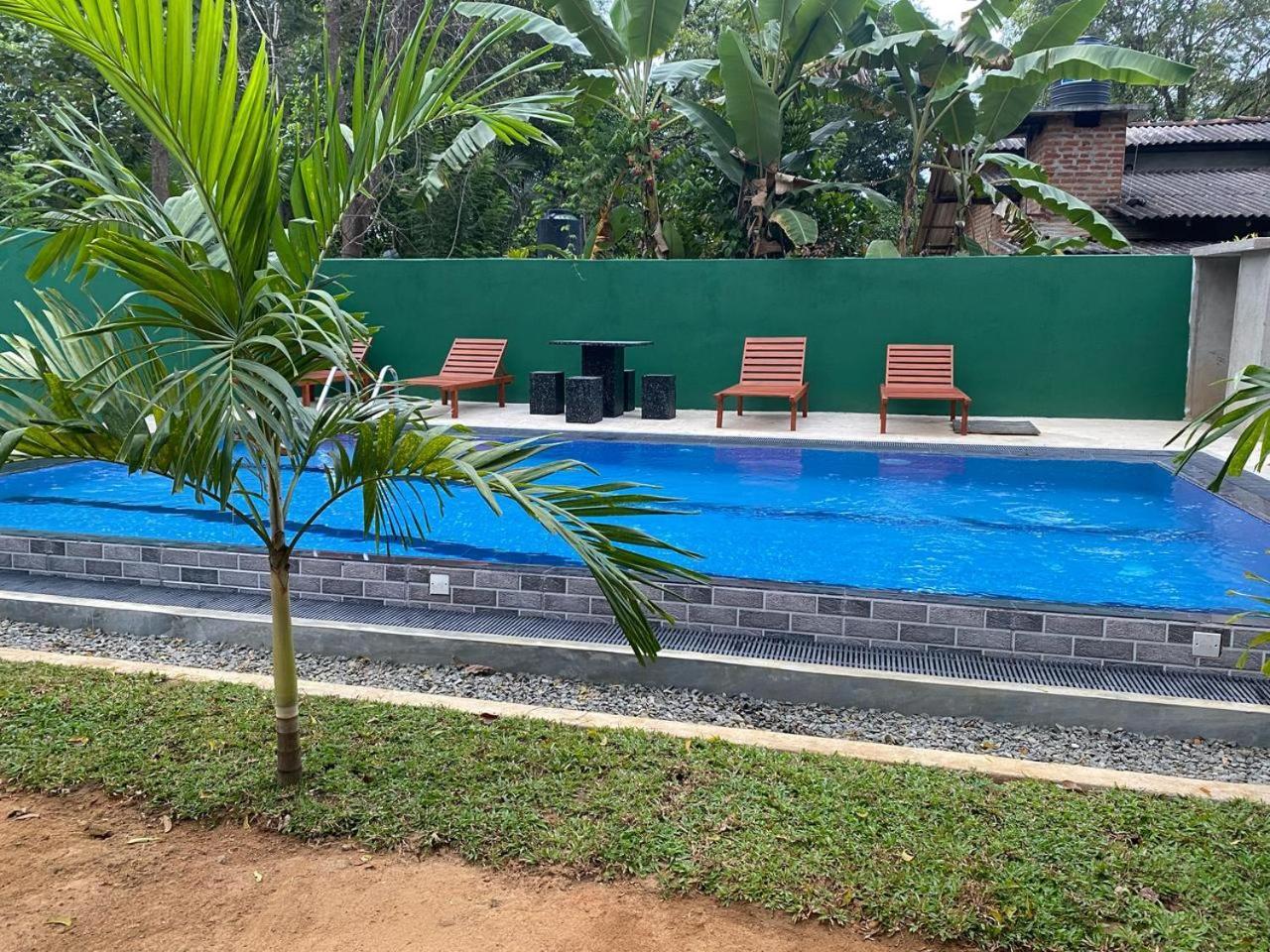 Habarana New Star Homestay Exteriör bild
