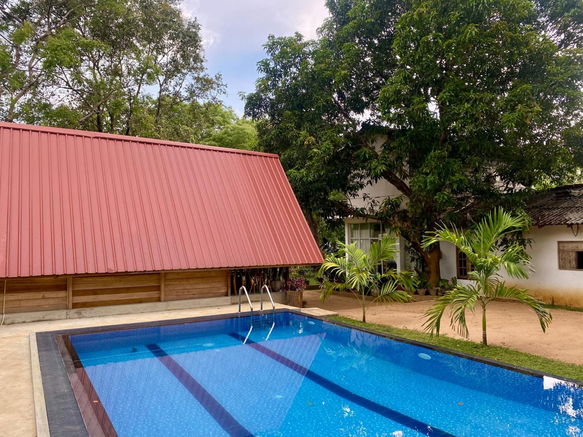 Habarana New Star Homestay Exteriör bild