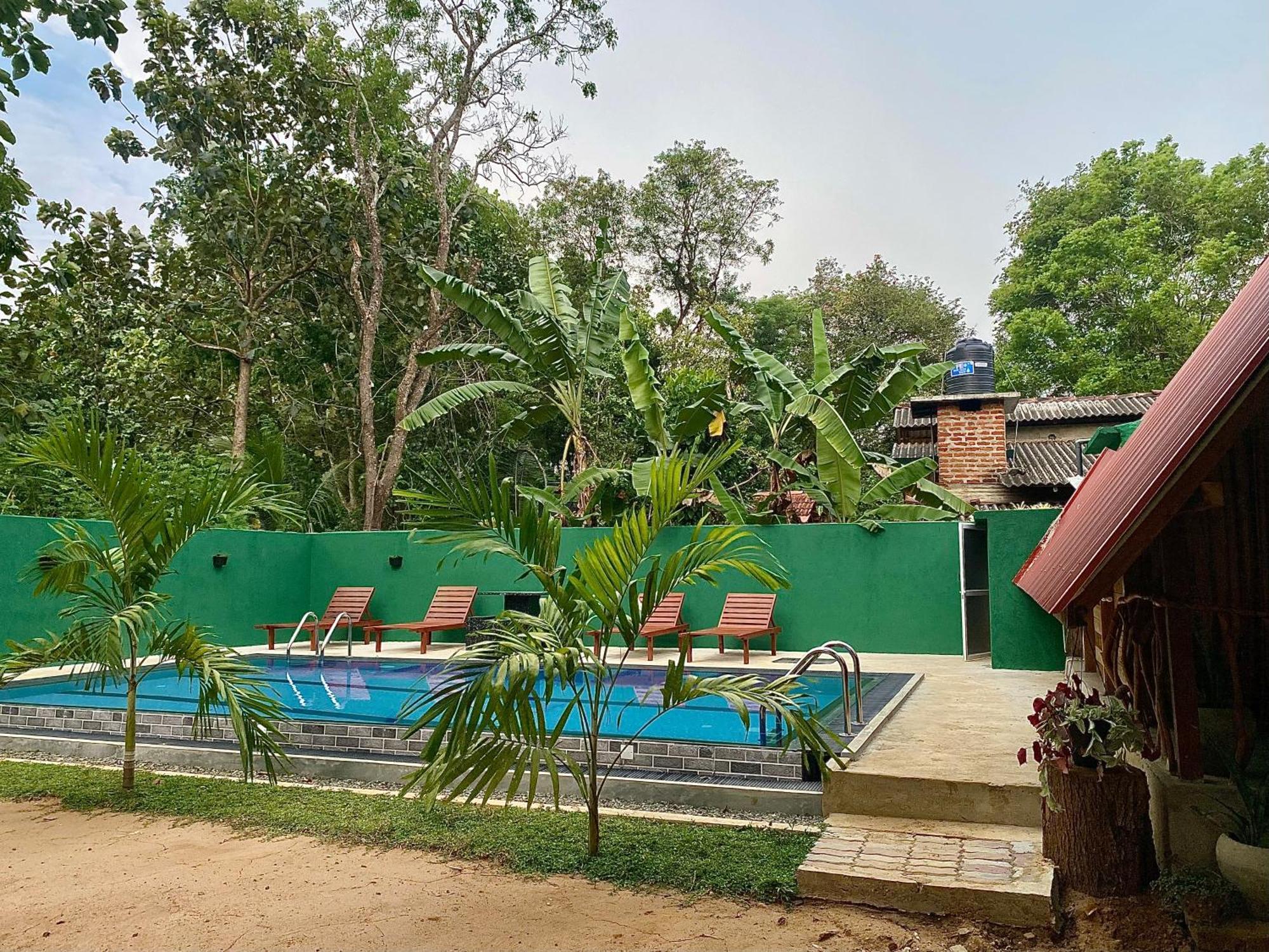 Habarana New Star Homestay Exteriör bild