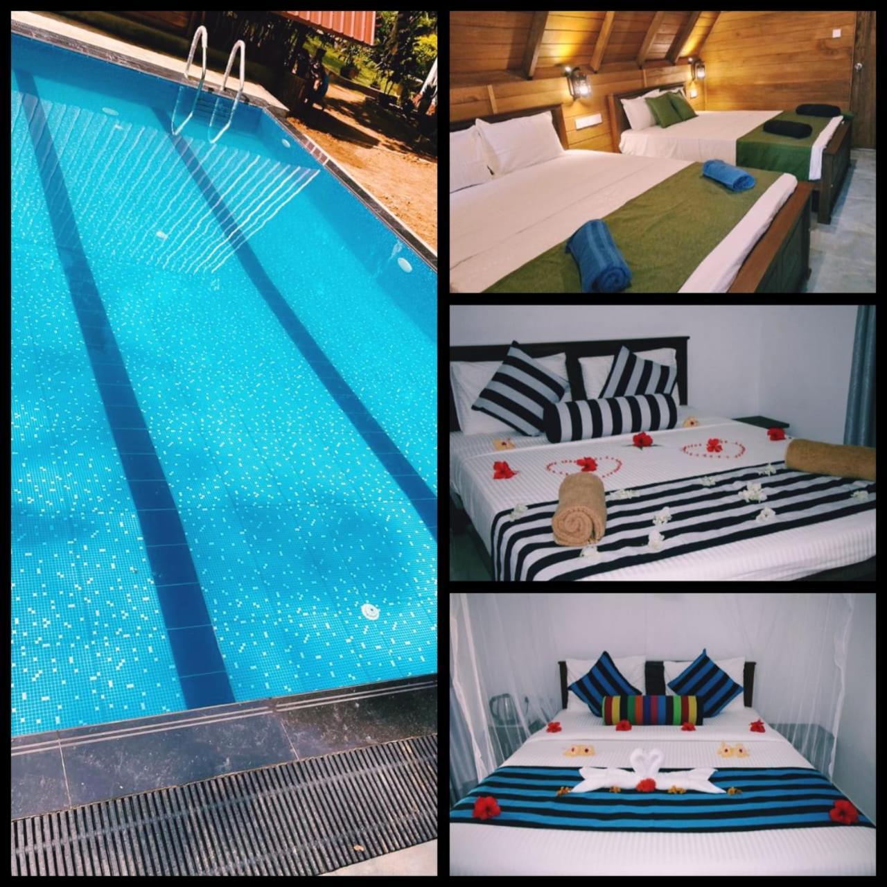 Habarana New Star Homestay Exteriör bild