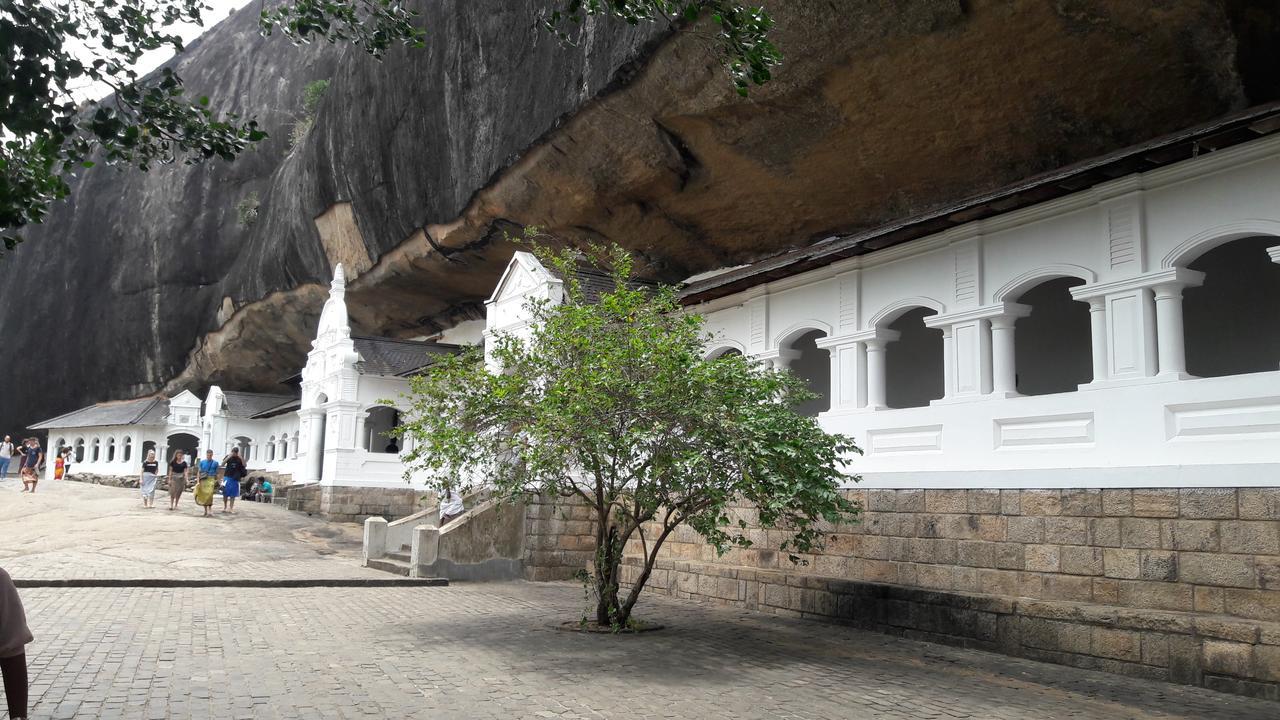 Habarana New Star Homestay Exteriör bild
